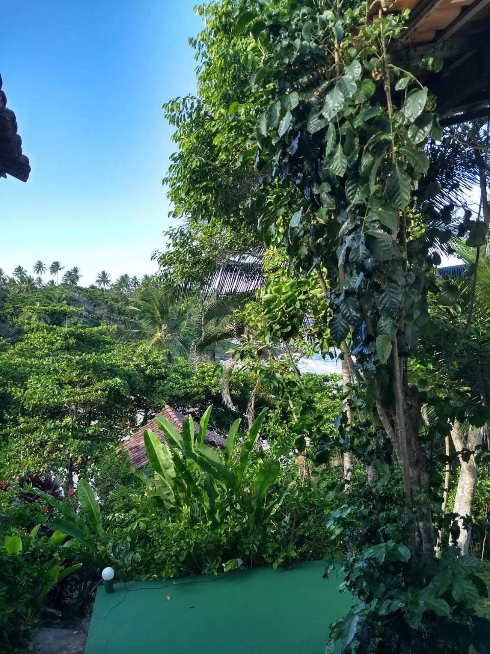 Chale Na Praia Da Tiririca Vila Itacaré Exterior foto